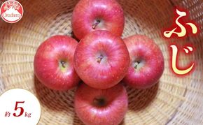 【2026年11月～発送】ふじ 約5kg りんご リンゴ 林檎 果物 フルーツ 長野県 長野 山ノ内町