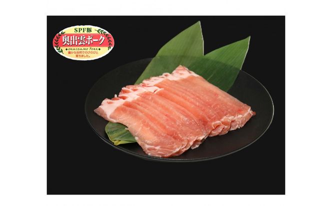 奥出雲ポークローススライス 計600g 322032_FU001