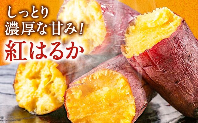 【先行予約】タカハマ観光農園 の 紅はるか 選べる 約3kg or 約5kg Sサイズ《1月上旬-5月末頃出荷》熊本県 大津町 さつまいも さつま芋 芋 スイートポテト 干し芋 焼き芋---oz_thm_12_3kg---