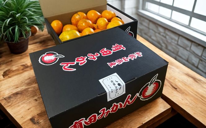 【訳あり】有田みかん 約3kg 家庭用  EY001