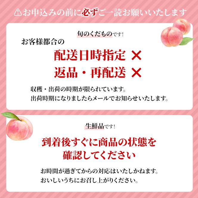 【2026年発送】志賀高原の麓で育った 桃（白鳳系）特秀10玉 約2.5kg 桃 もも 白鳳 フルーツ 果物 デザート 長野