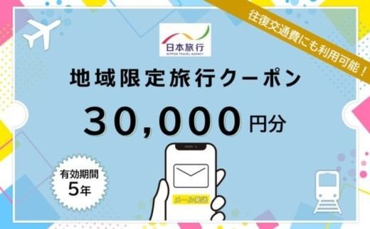 沖縄県恩納村 日本旅行 地域限定旅行クーポン3万円分（Eメール発行）