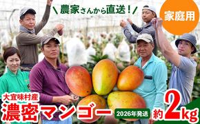 【2026年発送】ご家庭用！濃密マンゴー《家庭用・約2kg》農家さんより直送！ 家庭用 先行予約 沖縄 甘味 糖度 濃厚 おいしい お土産 まんごー アーウィン 果物 くだもの 果実 送料無料 ふるさと納税 ２キロ トロピカル 箱入り 食べ物 フルーツ