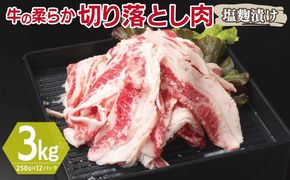 G3391 牛肉 切り落とし 塩麹漬け 合計3kg【味付け 小分け 焼くだけ 簡単調理 BBQ 牛肉 250g×12袋】