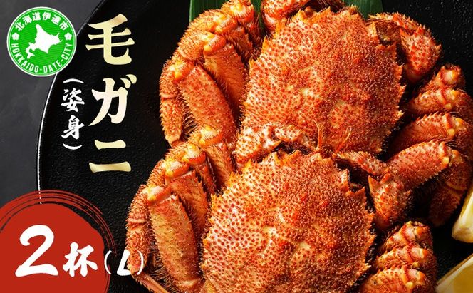 毛ガニ（姿身）Lサイズ 2尾 ogm-018