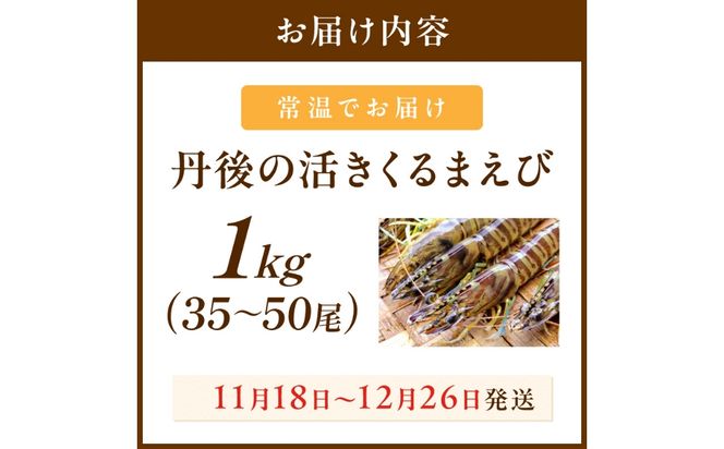 丹後の活きくるまえび 1kg（35～50尾）　MN00071