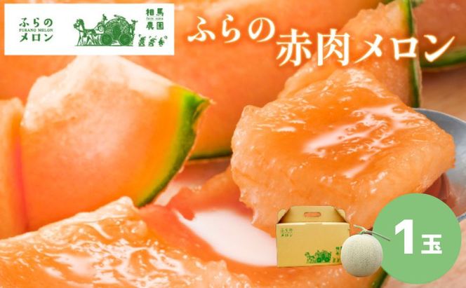 【2026年6月発送】ふらの 赤肉メロン 1玉入 2kg前後 (相馬農園) メロン フルーツ 果物