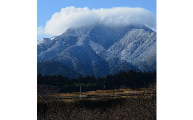 1804.令和7年産　こしひかり精米　5kg 313726_CH001