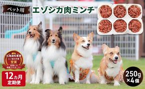 12ヵ月定期便 ペットのおやつ【エゾシカ肉のミンチ】250g×4 南富フーズ株式会社 鹿肉 ジビエ 餌 犬 猫 鹿 ペット 健康 無添加 肉 北海道 南富良野町 エゾシカ 