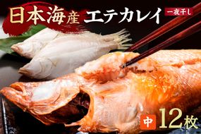 【店主一押し！絶品干物！高リピート！】エテカレイ一夜干し　中サイズ（朝食サイズ）12枚　YK00152