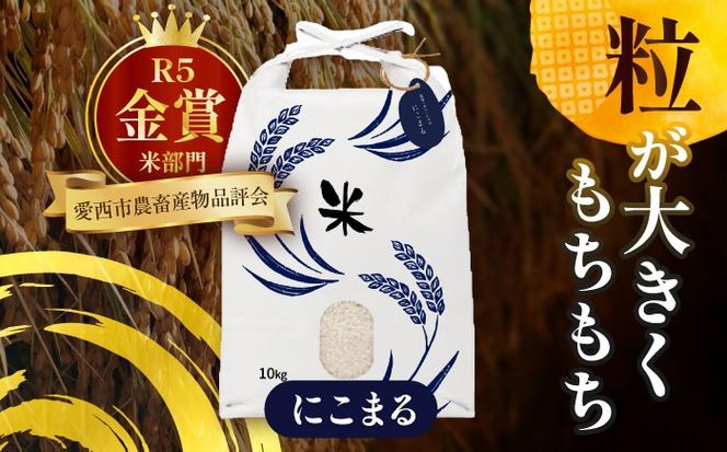 令和6年産　愛知県産　コシヒカリ・にこまる　白米　各10kg　特別栽培米　お米　ご飯　愛西市／戸典オペレーター　[AECT012]