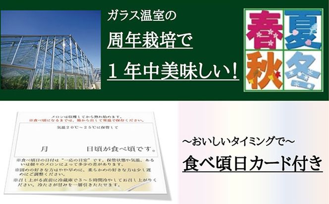 【12ヶ月定期便】クラウンメロン（山等級）1玉入 