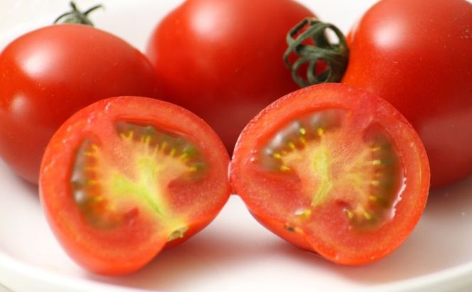 【2026年夏発送】完熟 富良野 ミニトマト 約1kg 野菜 トマト 新鮮 直送 朝採り北海道