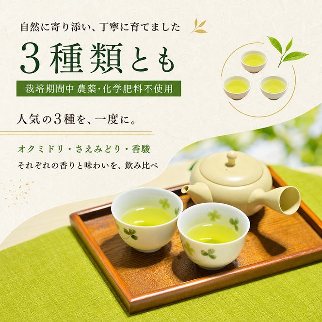 コンテスト入賞茶・松田農園3選　100g×2袋、香駿80g×1袋 飲料 お茶 緑茶 詰め合わせ 農薬 化学肥料 人気 お得 セット 受賞