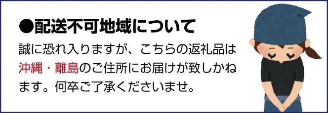しげちゃん農園の シャインマスカット「晴王」 1.4kg前後（2～3房入） 【2026年10月上旬～順次発送】 岡山県真庭市産 ぶどう シャインマスカット 高級 フルーツ 【shifarm001-02】