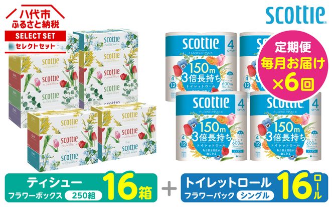 【定期便6回】【毎月お届け】【スコッティ】 組み合わせ ティシュー フラワーボックス 250組 16箱 計96箱 トイレットロール シングル フラワーパック 3倍長持ち 16ロール 計96ロール ティッシュ トイレットペーパー 日用品 ストック 防災備蓄 ストック 備蓄 新生活 防災 消耗品 生活用品 日用消耗品 箱ティッシュ