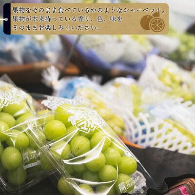 AV6001n_果物たっぷり ジェラート 6個 セット【デザート スイーツ ギフト セット シャーベット】