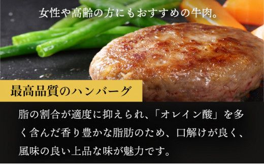 定期便も選べる！ 登別牛100％使用ハンバーグ 120g×5個（単品／定期便）