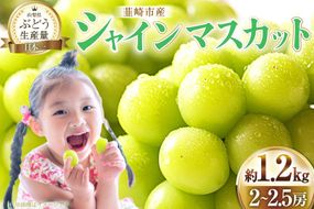 【2026年発送】先行予約 ぶどう シャインマスカット 約1.2kg (2〜2.5房) 【冷蔵発送】 フルーツ 果物 くだもの ブドウ 葡萄 種なし 1.2キロ 甘い 期間限定 季節限定 JA 厳選 山梨県産 令和8年 8月下旬から [梨北農業協同組合 山梨県 韮崎市 20742921]