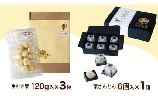 【 吉原農場 の 完熟栗 】 熟成 生むき栗 3袋・栗きんとん 1箱 セット 令和7年産 栗の深雫 完熟  むき栗 くり クリ 栗ごはん おかし お菓子 果物 フルーツ 数量限定 旬 秋 冬 正月 おせち [CX024ci]
