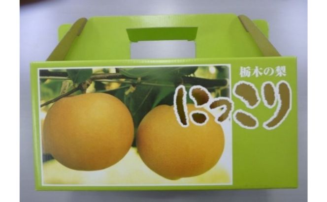 【2026年栃木県鹿沼産】大玉な梨（にっこり） 約2kg ナシ 果物 フルーツ ※2026年10月～発送
