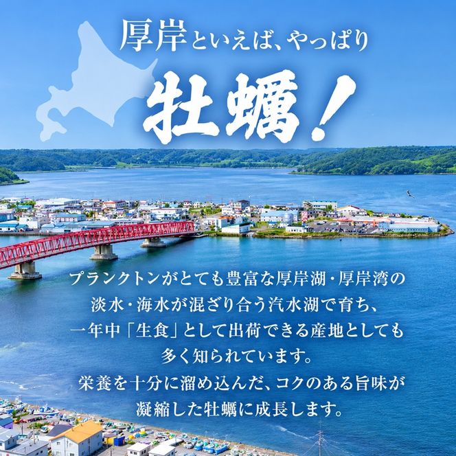 厚岸産 殻牡蠣 Lサイズ 20個 セットカキ 牡蠣 魚介類 送料無料 新鮮 濃厚 大粒 マルえもん メルマガ掲載商品2 