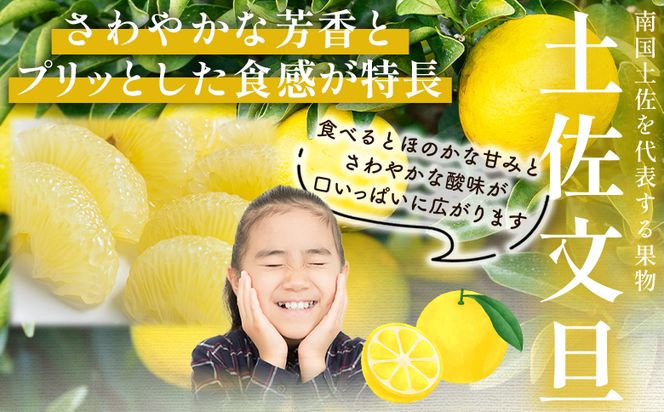 文旦 5kg 家庭用 混合（L〜2Lサイズ） 文旦 高知 訳あり ぶんたん ブンタン わけあり 5キロ 果物 柑橘 フルーツ 香南市産 高知県 nm-0001