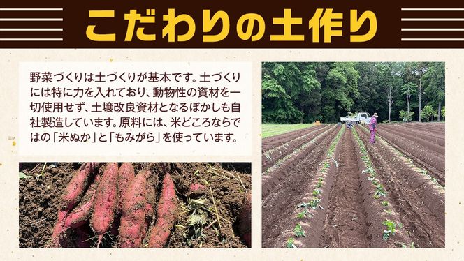 茨城県産 紅はるか 10kg 土付き 無選別 熟成 さつまいも 生芋 芋 サツマイモ 農薬不使用 化学肥料不使用 甘い 焼き芋 スイートポテト ねっとり[DX09-NT]