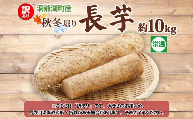 洞爺湖町産 訳あり 長芋 約10kg 2026年12月上旬から順次お届け 長いも 国産 北海道産 訳アリ 家庭用 不揃い とろろ 山かけ ステーキ 生食 調理 野菜 芋 旬 北海道 洞爺湖町
