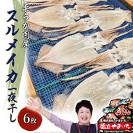 柔らか肉厚の スルメイカ 一夜干し 6枚[ 国産 干物 肴 つまみ イカ ] myz02 myz11 myz17
