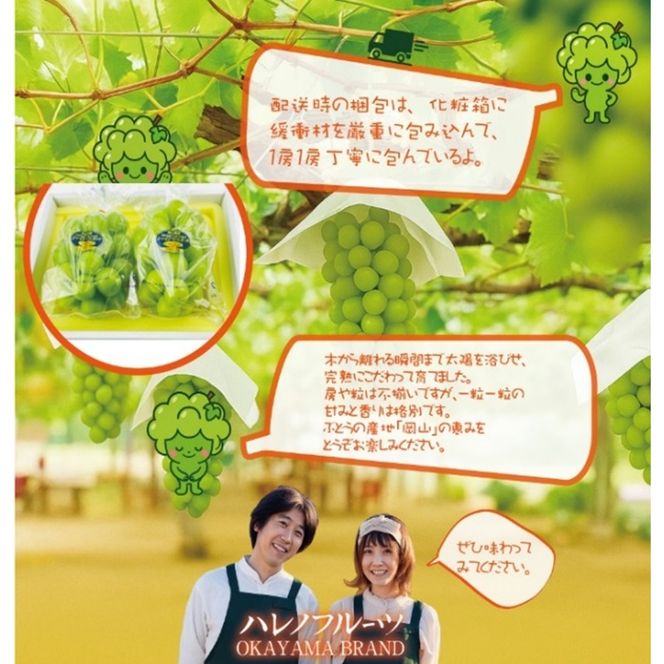 先行予約 訳あり 木熟ぶどう ハレノシャイン シャインマスカット晴王 2房 約1.1kg 9月～10月発送 皮ごと食べる みずみずしい 甘い フレッシュ 晴王 冷蔵 晴れの国 おかやま 果物大国 家庭用 ハレノフルーツ