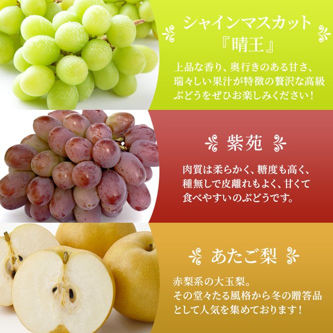 桃 ぶどう 梨 定期便 2026年 先行予約 晴れの国 岡山 の フルーツ 定期便 6回コース もも 葡萄 なし 岡山県産 国産 セット ギフト アレキサンドリ ニューピオーネ シャインマスカット 晴王 紫苑 