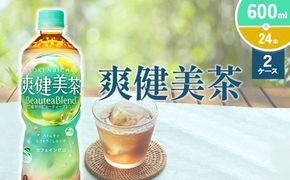 爽健美茶 600ml PET【コカ・コーラ】ペットボトル 2ケース(48本) 定期便 セット お茶 カフェインゼロ ノンカフェイン ハトムギ ブレンド茶 宮崎県 えびの市 送料無料