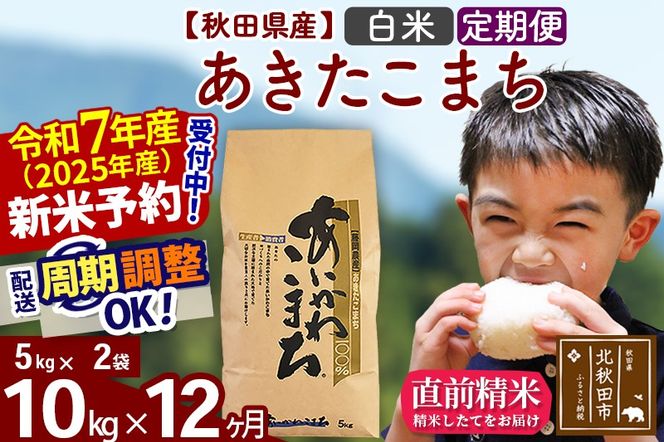 ※令和7年産 新米予約※《定期便12ヶ月》秋田県産 あきたこまち 10kg【白米】(5kg小分け袋) 2025年産 お届け周期調整可能 隔月に調整OK お米 藤岡農産|foap-10612