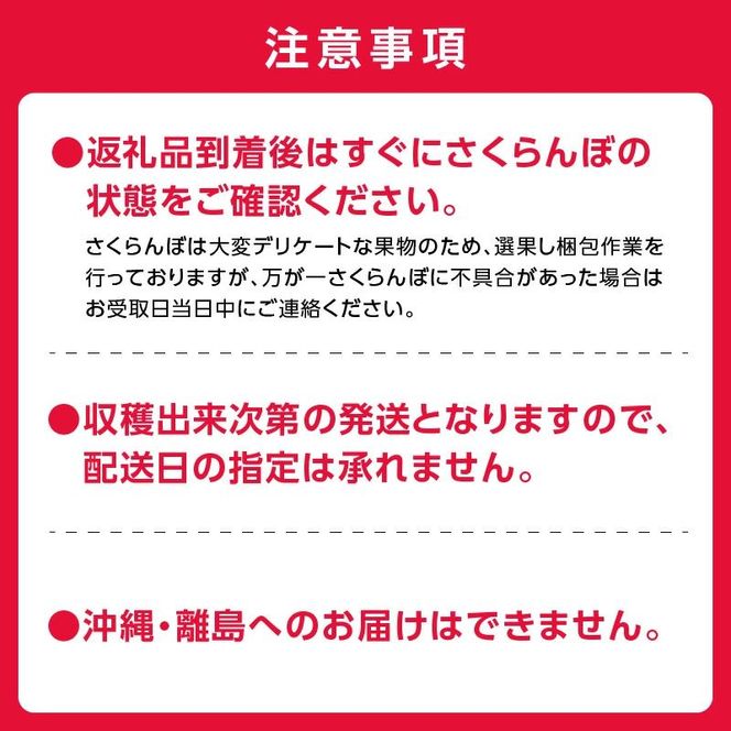 2026年発送【先行予約】令和8年産 南陽【3Lサイズ】500g×2【ニトリ観光果樹園】余市 北海道 フルーツ王国 さくらんぼ サクランボ 桜桃 南陽 余市産さくらんぼ 人気さくらんぼ ニトリ_Y074-0142