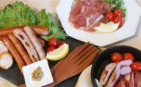 【年内発送】 ＼DLG金賞・銀賞受賞！／糸島の陽光 ハム 6種 セット 糸島市 / 志摩スモークハウス ハム ソーセージ 食べ比べ [AOA001] 詰め合わせ ギフト ソーセージ ハム 詰め合わせ