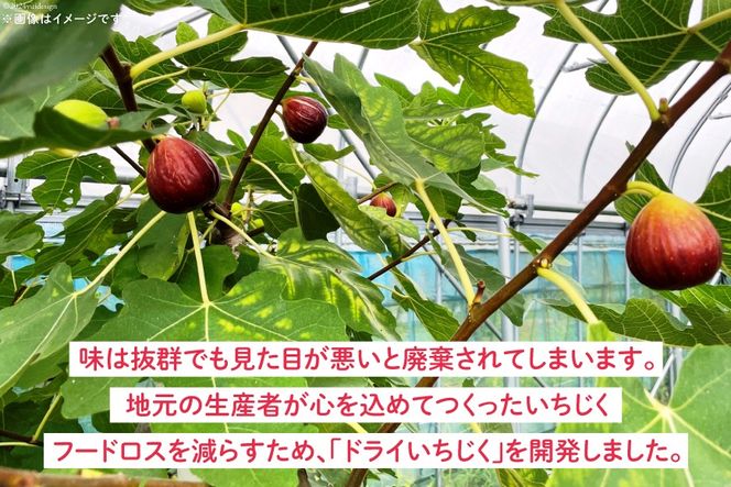 【期間限定発送】 ドライフルーツ いちじく 50g [モアショップヤマモト 石川県 宝達志水町 38601069] 無添加 ドライ イチジク 無花果 期間限定 砂糖不使用 お菓子 おつまみ 果物 フルーツ