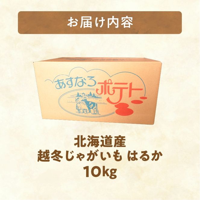 2026年発送分先行受付！ホクホク あま～い！ 低温貯蔵！北海道産 越冬じゃがいも はるか 約10kg_S041-0010