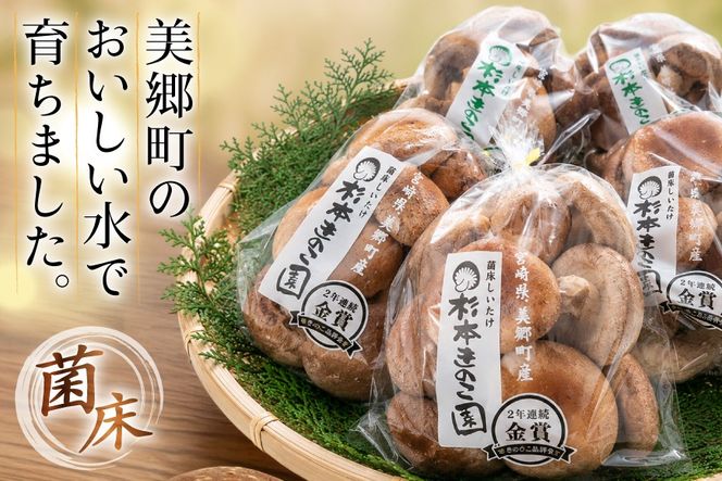 生しいたけ セット 約300g× 2袋 約150g× 2袋 計4袋 約900g [杉本きのこ園 宮崎県 美郷町 31bs0001] 菌床 椎茸 しいたけ シイタケ きのこ キノコ お鍋 天ぷら 炒め物 おかず