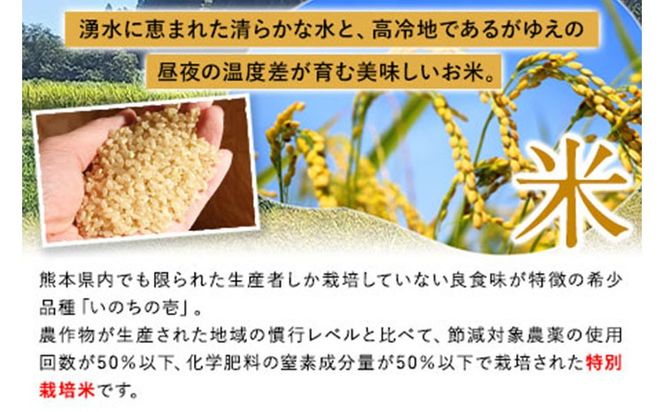 新米 令和6年産 特別栽培米 いのちの壱(玄米)10kg×1 雑穀米付き《30日以内に出荷予定(土日祝を除く)》 熊本県 南阿蘇村 熊本県産 虹色のかば 雑穀米---sms_inci6_30d_24_22000_g10kg---