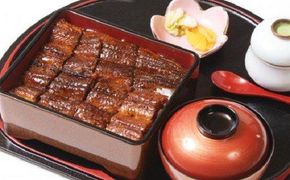 鰻料理専門店「うなぎ処はちすか」お食事券 2枚 9,460円分 国産 日本料理 うなぎ 蒲焼 白焼き 肝 出汁 うな丼 うな重 上うな重 ひつまぶし 食事 券 チケット うなぎ屋　H026-041