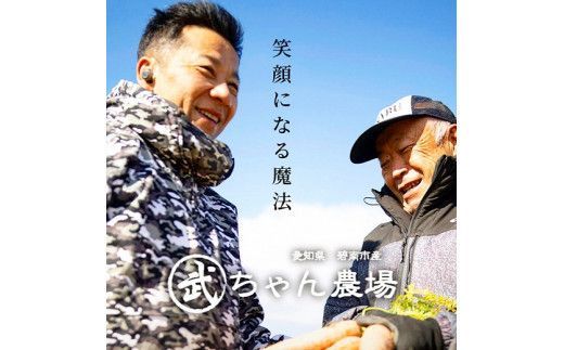 【食品ロス削減】（ 訳あり ）甘さと栄養で体も笑う武ちゃん農場の“ハッピーキャロット” 5kg　H095-032