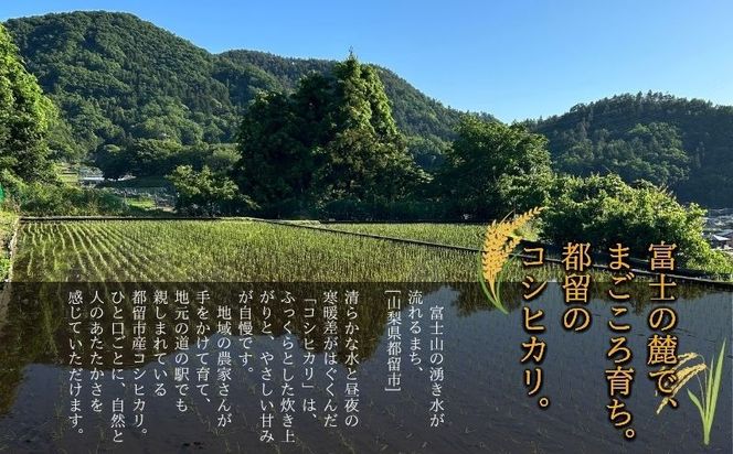  令和7年産　都留市産コシヒカリ（5kg）KD001｜米 新米 こしひかり お米
