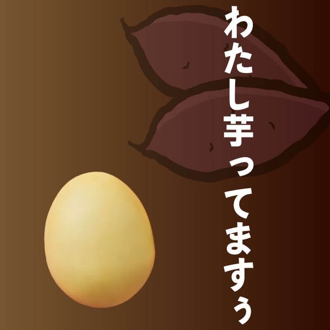 y茧Dnsz킩߂̋ʎq24 (3×8pbN)   [ ܂ Tc}C XC[c mَq aَq yY Yi Ԍ { v[g Ƃ O 茧 Dns [kamome21_1]