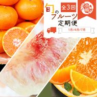 〈定期便〉【1・4・7月 全3回】魚鶴のフルーツ定期便（みかん・オレンジ・桃）◇