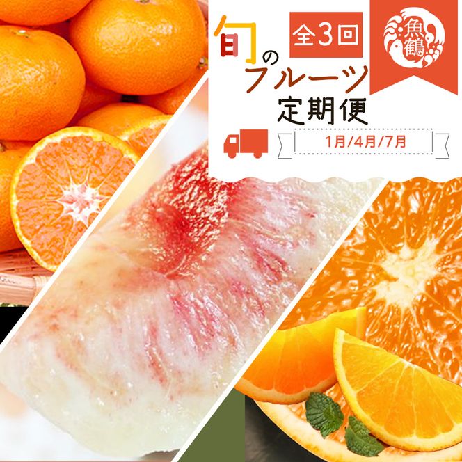 〈定期便〉【1・4・7月 全3回】魚鶴商店のフルーツ定期便（みかん・オレンジ・桃）◇