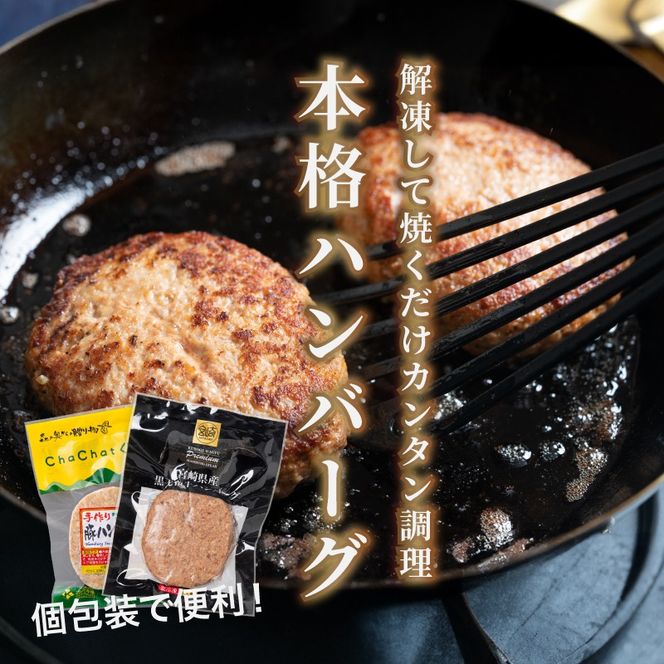 宮崎県産黒毛和牛100%ハンバーグ個包装(10個/冷凍)・ 宮崎県産ポークハンバーグ個包装(10個/冷凍) K16_0157