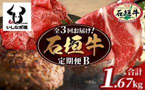 【全３回 定期便B】 石垣牛　切り落としスライス・ハンバーグ・肩ロースすきしゃぶ　計1.67kg（いしなぎ屋）【 特選肉 肉 高級 黒毛和牛 和牛 牛 】AB-30