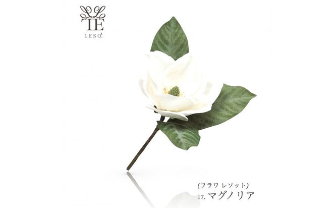 本物の花の香り リード・ディフューザー【マグノリア】 【 リード ディフューザー 花 香り 仙台市 アロマ インテリア フレグランス デザイン 室内 癒し 自然 空間 プレゼント ギフト エッセンシャルオイル リラックス 】 041009_HW001VC08