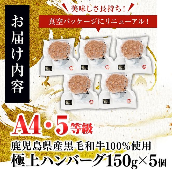 ＜A4・A5等級＞鹿児島県産 黒毛和牛100%使用 極上ハンバーグ(計750g/150g×5個)  a2-086